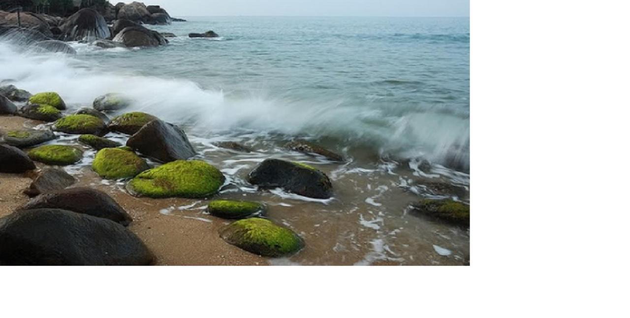 Da Nang Minh Hai Exteriör bild