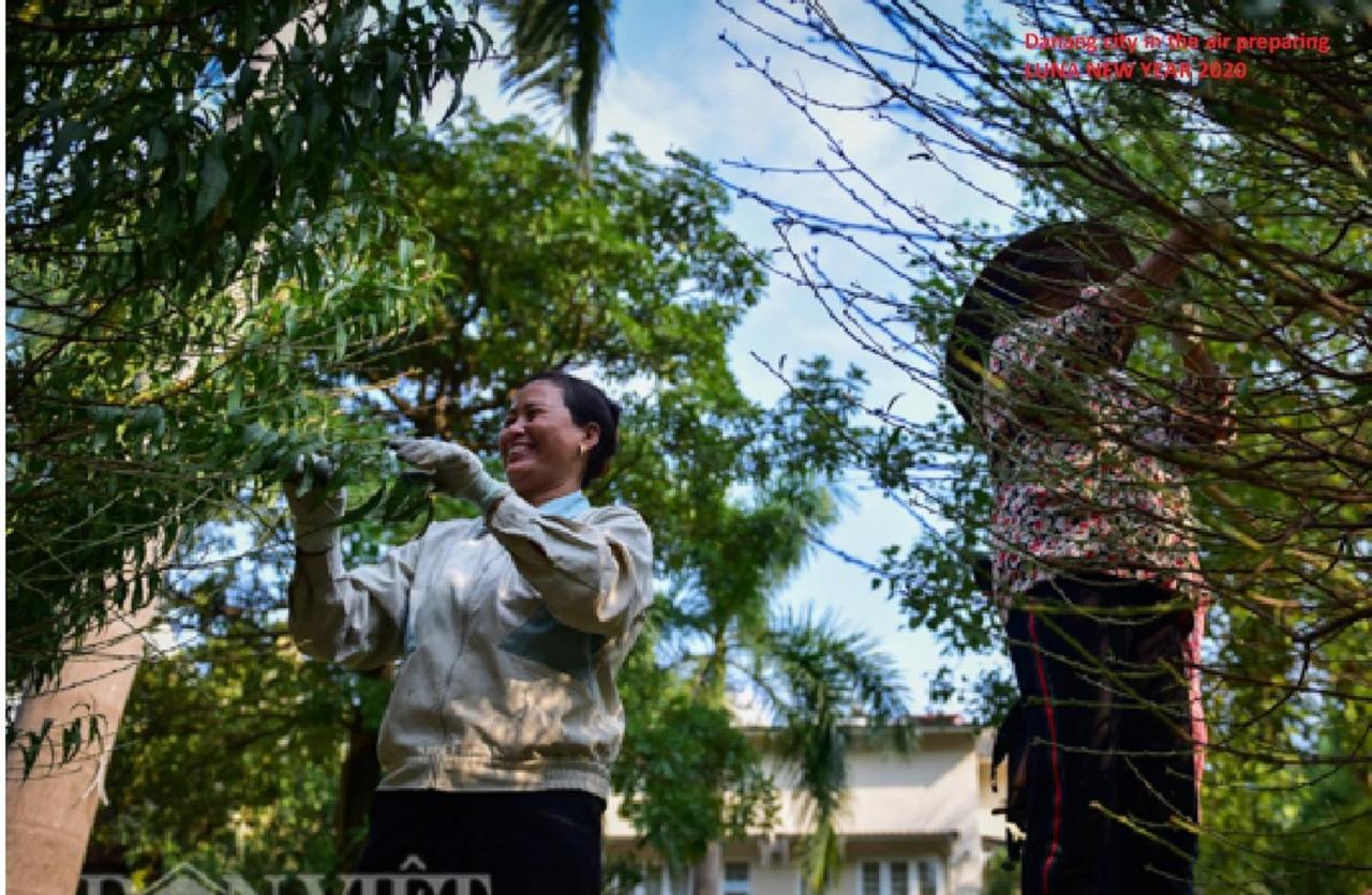 Da Nang Minh Hai Exteriör bild
